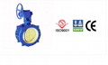 Double Flanged Eccentric Butterfly Valve 1