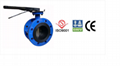 Double Flanged Eccentric Butterfly Valve 2