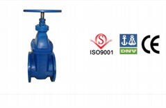 gate valve