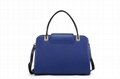 2014 New fashion lady handbag hot sale trendy handbag 3