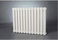 GZT2/X-1.0型钢制柱型散热器钢管柱型散热器 4