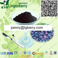Blueberry anthocyanin