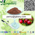 Cranberry anthocyanin