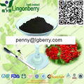 Elderberry anthocyanin