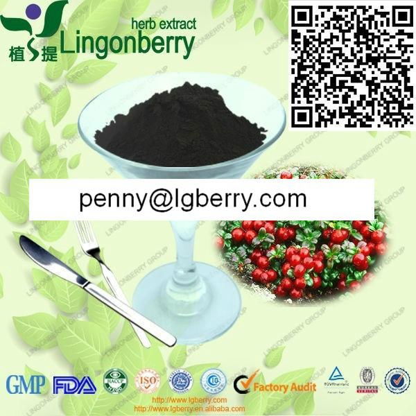 Lingonberry anthocyanin