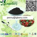 Lingonberry anthocyanin