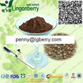 Red raspberry anthocyanin 1