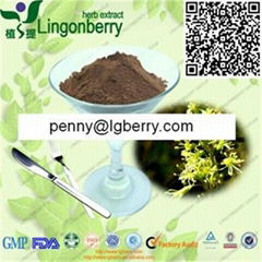 Silene Otites Extract