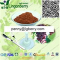 Grape Seed Extract