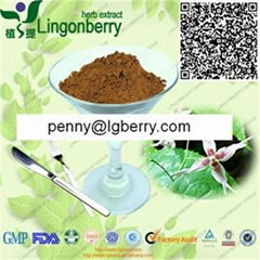 Epimedium Extract Icariin