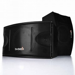 SASION 10 inch Passive Speaker