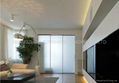 Frosted Glass Partition 2