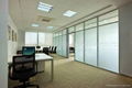 Frosted Glass Partition 1