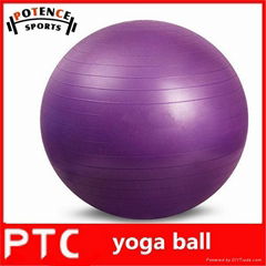 fitness  gym ball