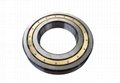 Cylindrical Roller Bearing 3