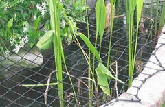 Nylon Pond Netting - Good Deterrent for Pond Predators