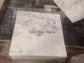 Italian Carrara White marble polished