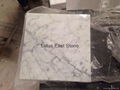 Italian Carrara White marble polished tiles 3