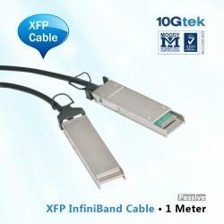 1m Passive XFP Infiniband Cable