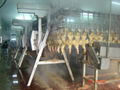 poultry chicken duck goose rabbit slaughter house equipment 4