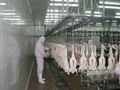 poultry slaughterhouse abattoir equipment chicken slaughter machinery 3