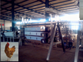 poultry slaughterhouse abattoir equipment chicken slaughter machinery