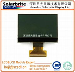 COG LCD module