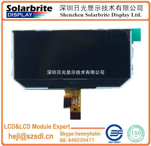 COG LCD module VA-LCD