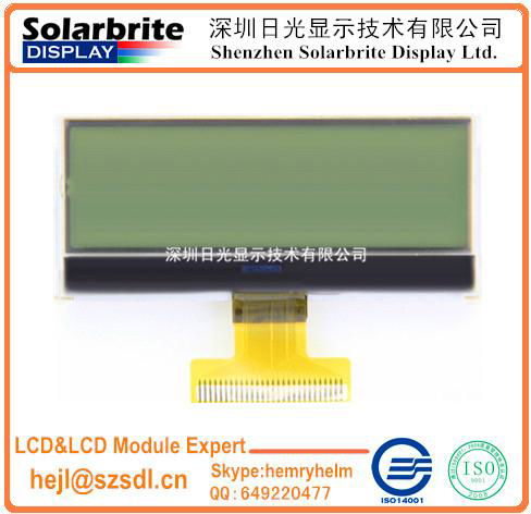 COG LCD MODULE WITH BACKLIGHT