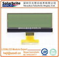 COG LCD MODULE WITH BACKLIGHT