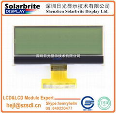 COG LCD MODULE WITH BACKLIGHT