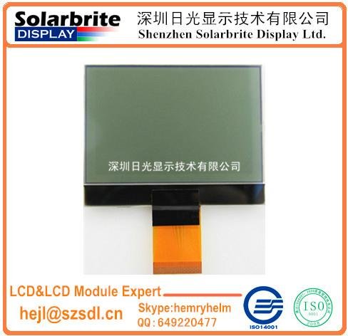FSTN LCD module with backlight 2