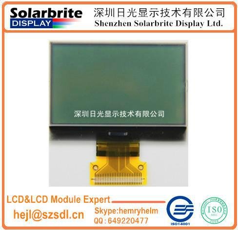 FSTN LCD module with backlight
