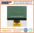 FSTN LCD module with backlight 1