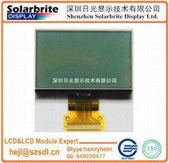 FSTN LCD液晶模組