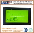 128*64 COB LCD module 2