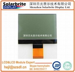 FSTN LCD液晶模组