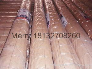 welded wire mesh 2