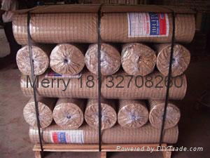 welded wire mesh 5