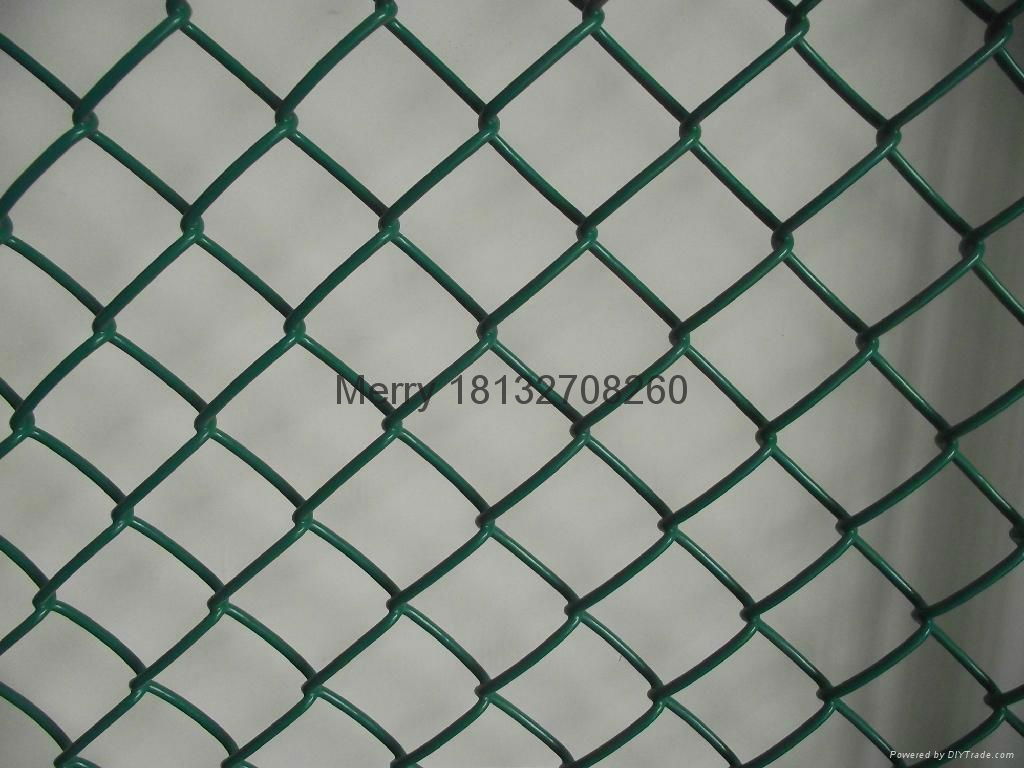 Chain link fence