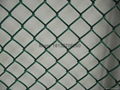 Chain link fence 1