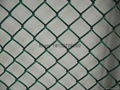 Chain link fence 3