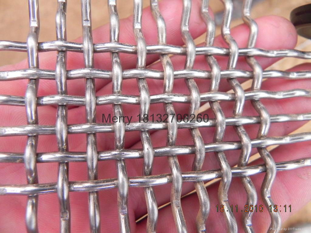 Crimped wire mesh 4
