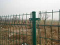 bilateral wire fence 2