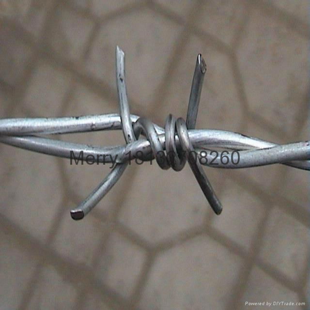 barbed wire 2