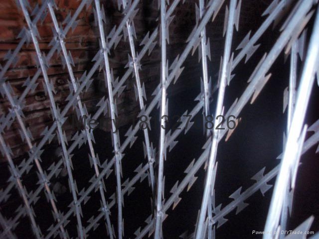 razor wire 3