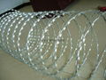 razor wire 1