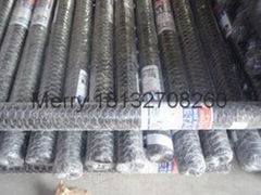 Hexagonal wire mesh