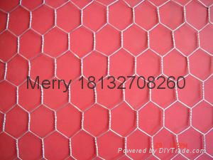 Hexagonal wire mesh 2