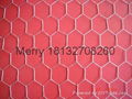 Hexagonal wire mesh 2